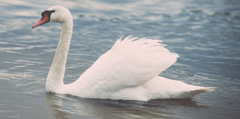 Lezione alla scuola d'inglese di Bienne